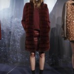ADEAM Fall 2013 Fuzzy & Big